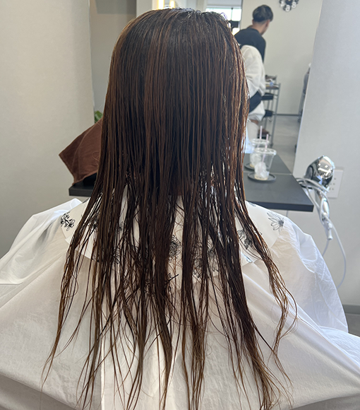 パールシルバーBefore画像