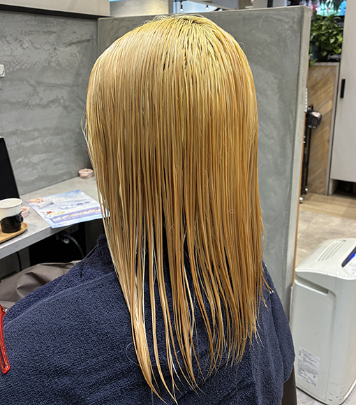 ラベンダーベージュBleach画像