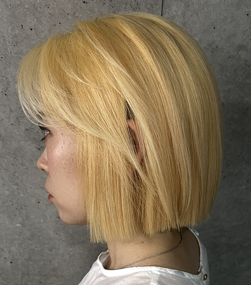 シャドールーツBleach画像