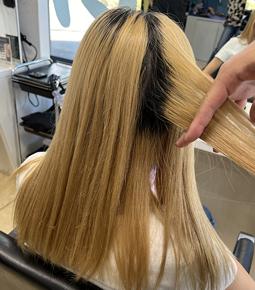 シルバーアッシュBefore画像