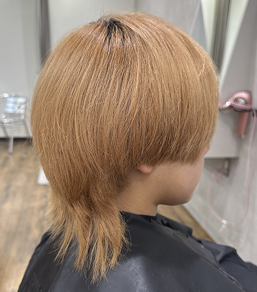 メリーグリーンデザインカラーBefore画像2