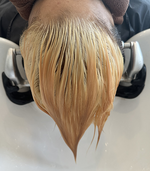 メリーグリーンデザインカラーBleach画像