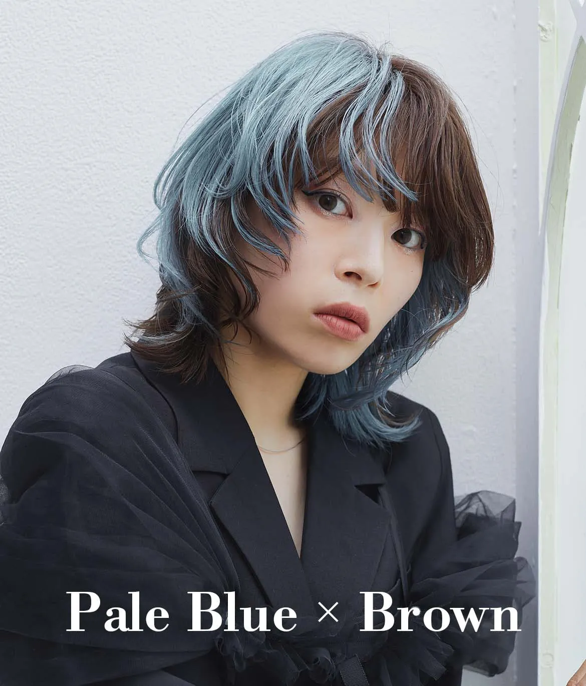 Pale Blue × Brown