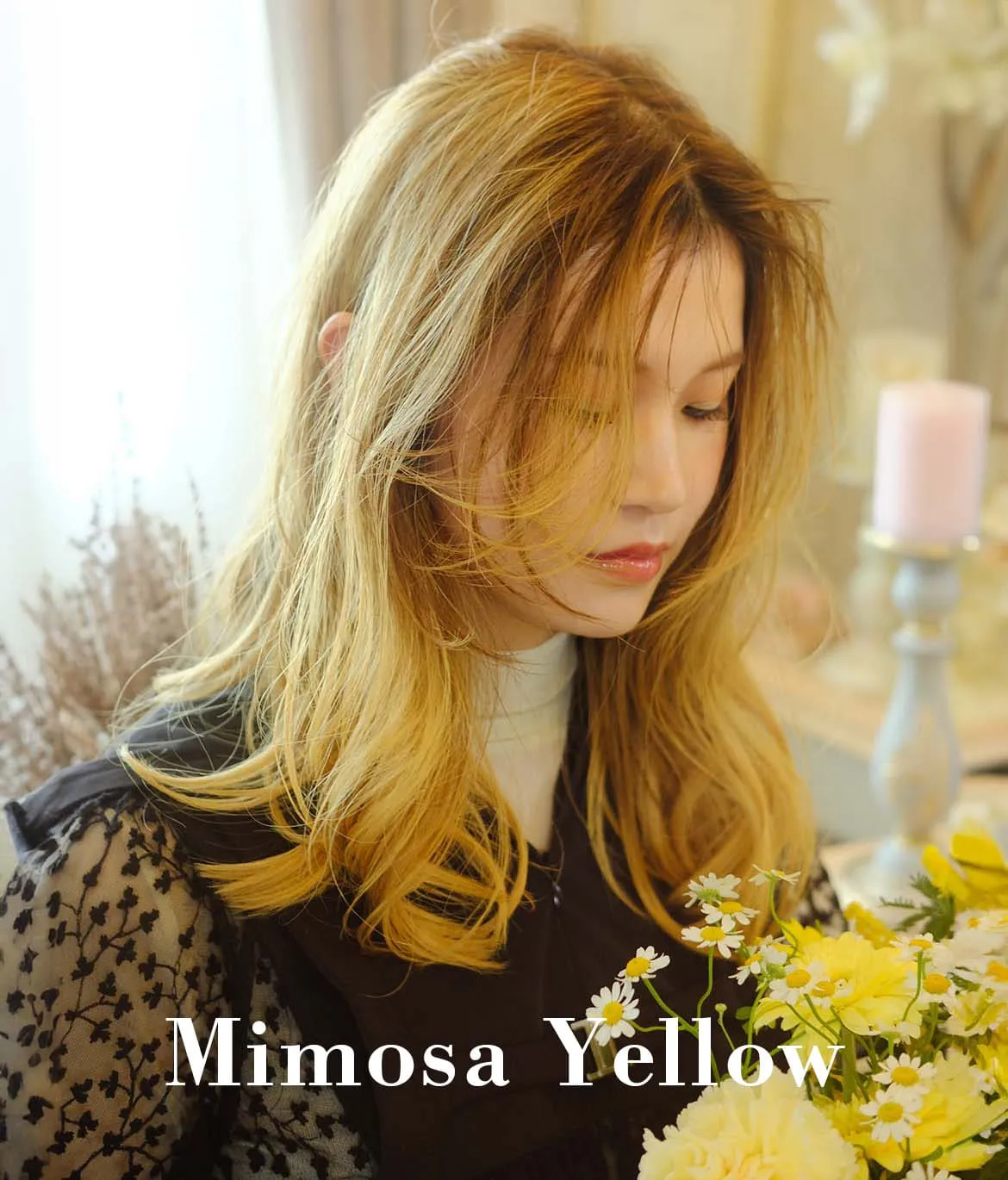 Mimosa Yellow