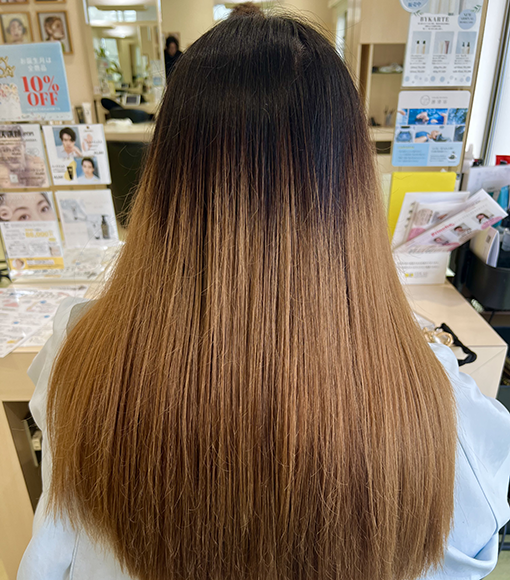 シャドールーツBefore画像