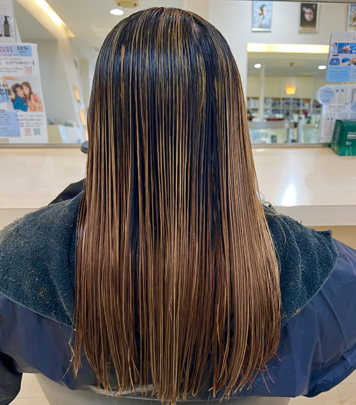 シャドールーツBleach画像