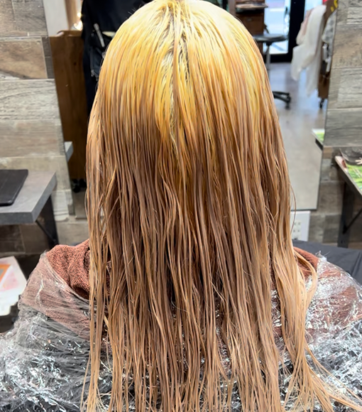 シルバーベージュBleach画像