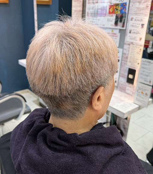 白髪染めにもなるよBefore画像