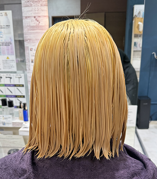 ネイビーブルーBleach画像