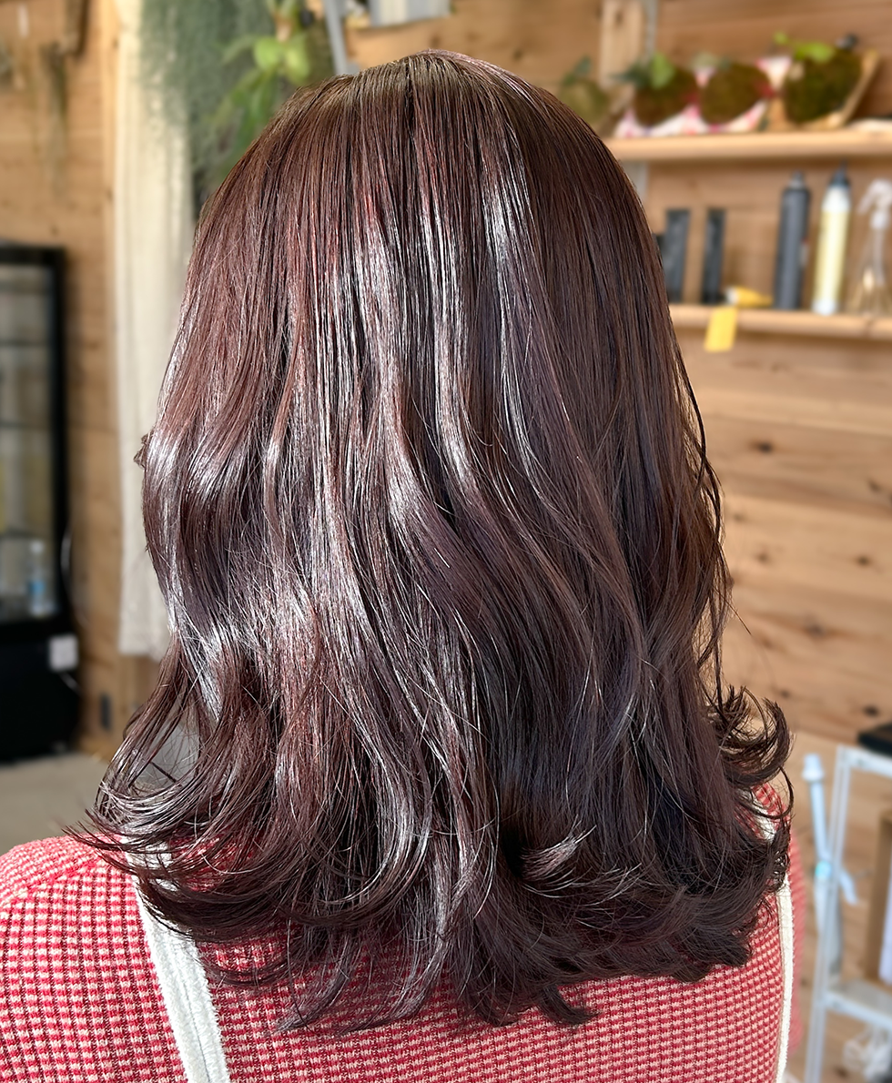 ツヤツヤ＊チョコレートカラー画像2