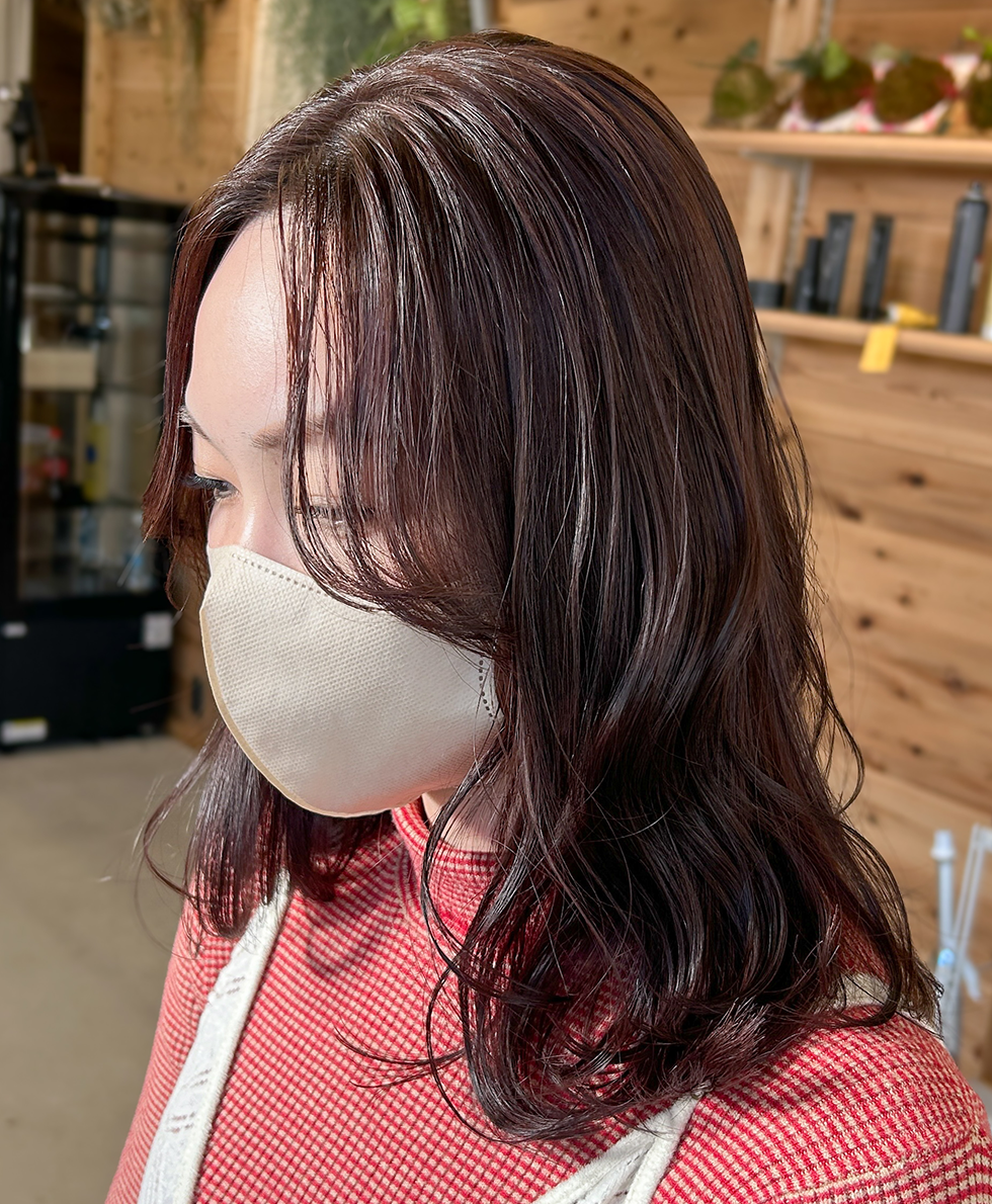 ツヤツヤ＊チョコレートカラー画像4