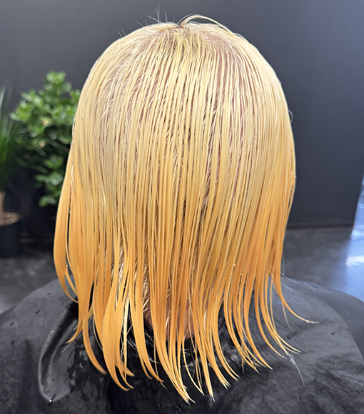 ホワイトブロンドBleach画像