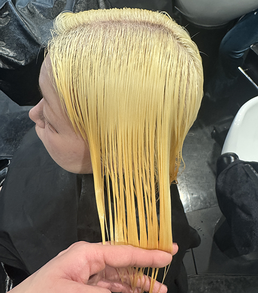 ホワイトブロンドBleach画像2