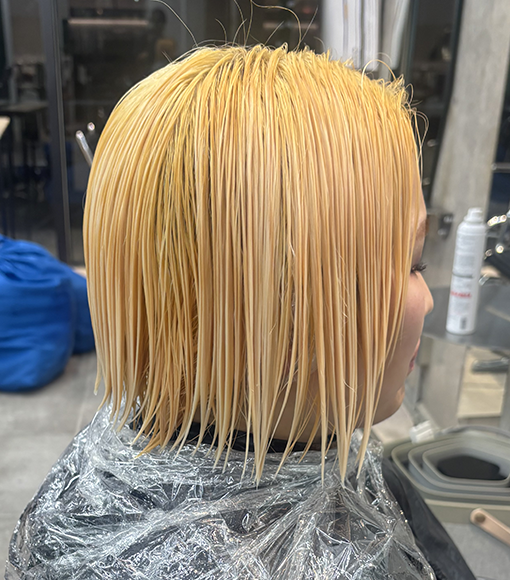 ブリーチデザインカラーBleach画像2