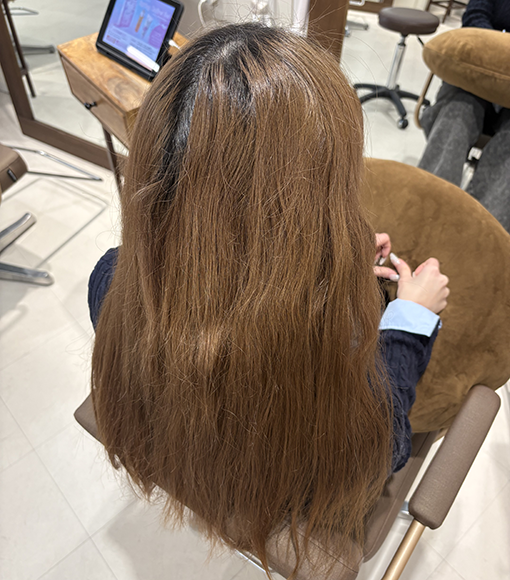 チョコレートブラウンBefore画像2