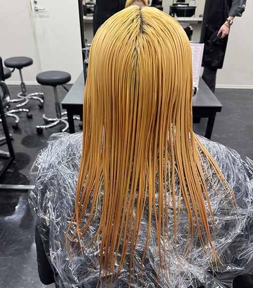 寒色紫カラーBleach画像