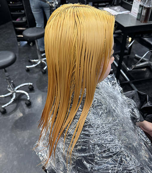 寒色紫カラーBleach画像2