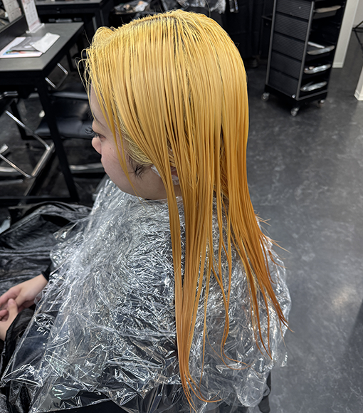 寒色紫カラーBleach画像3