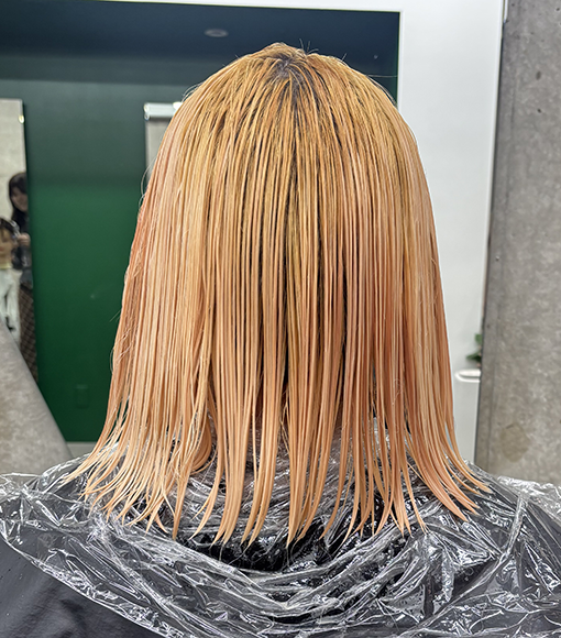 シルバーアッシュBleach画像