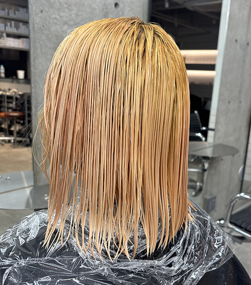 シルバーアッシュBleach画像2