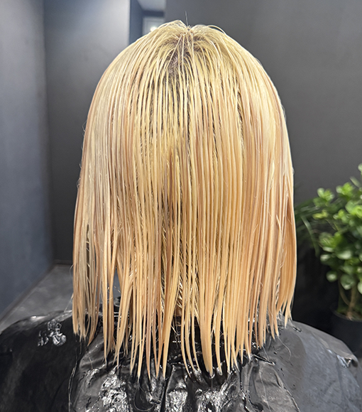 ライトブルーBleach画像
