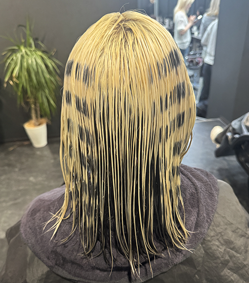 ボーダーデザインBleach画像