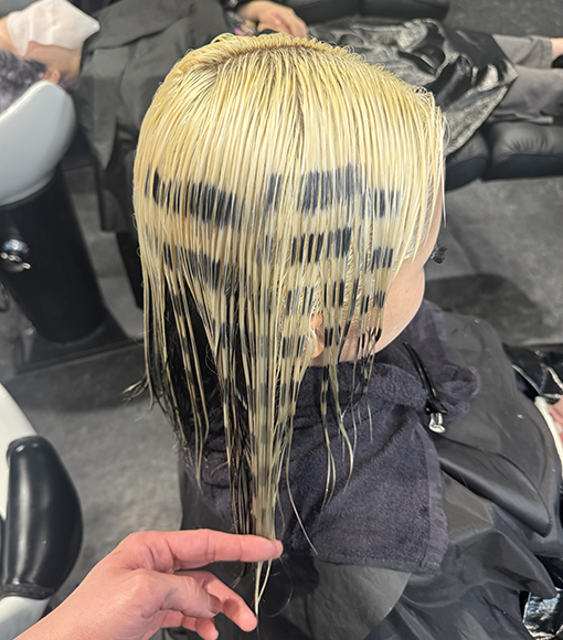 ボーダーデザインBleach画像3