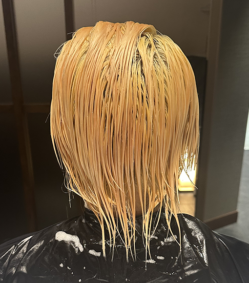 ホワイトブロンドBleach画像