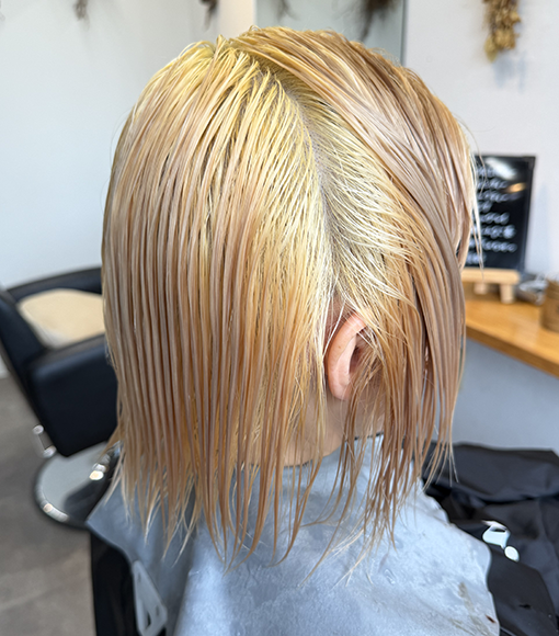 裾カラーBleach画像