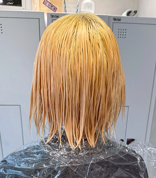 Black × BrownBleach画像