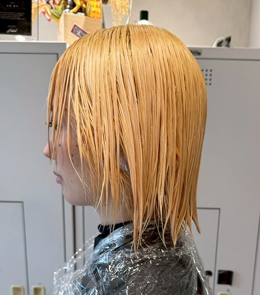 Black × BrownBleach画像3