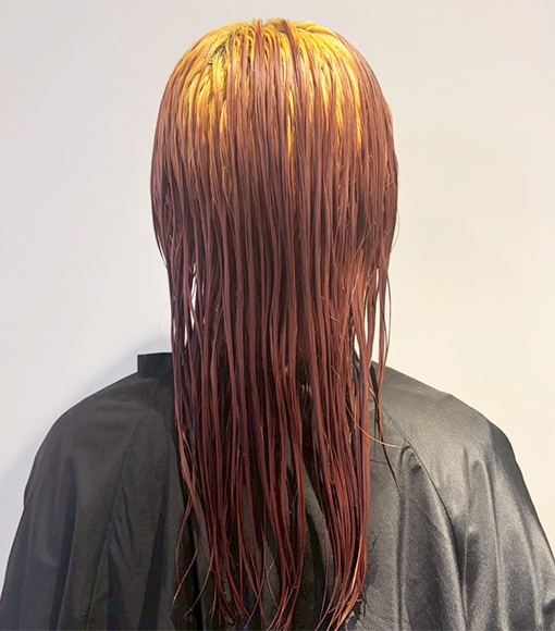 Scarlet × BurgundyBleach画像