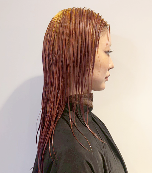 Scarlet × BurgundyBleach画像2